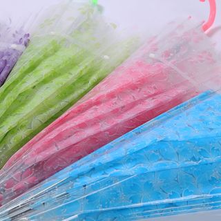 Ô, Dù Đi Mưa Nắng Trong Suốt Hoa Anh Đào