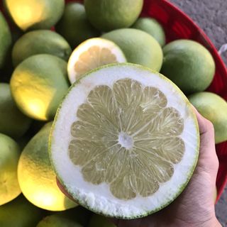 BƯỞI 5 ROI VĨNH LONG