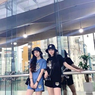 Bộ chất cotton hình hổ