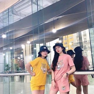 Bộ chất cotton hình hổ