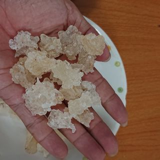 Tuyết yến thiên nhiên vân nam Trung Quốc gói 500gram