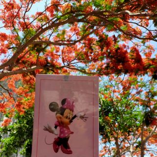 tắm trắng mickey ko vàng lông ko trâm trích trắng bật tông rỏ 3 tông da