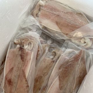 MỰC 1 NẮNG