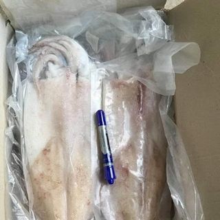 MỰC 1 NẮNG