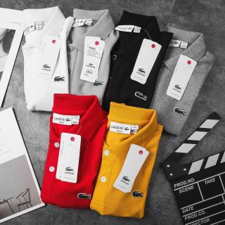 Áo Po.lo Trơn 100% cotton