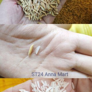 Gạo ST24 - ngon nhất thế giới (bao 5 ký)