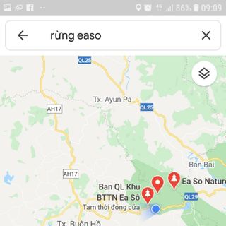 MẬT ONG RỪNG DAKLAK