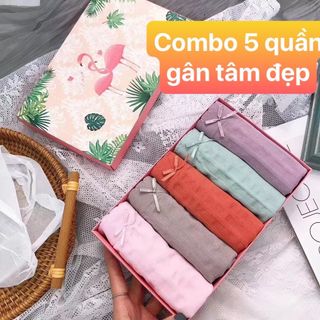 Combo 5 Quần lót nữ giá sỉ