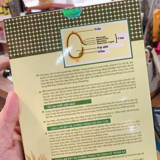Bột trà xanh