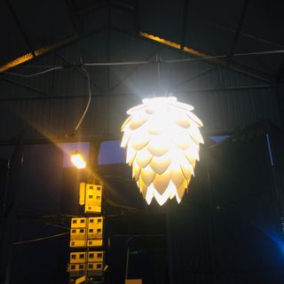 Đèn gỗ dáng quả dâu tây