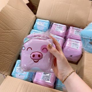 Két lợn mini