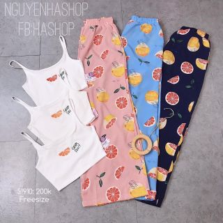 Set trái cây hàng cao cấp