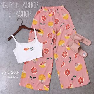 Set trái cây hàng cao cấp