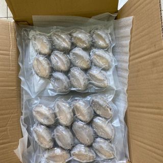 bào ngư hàn đông lạnh size 10-12 con/kg