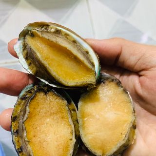 bào ngư hàn đông lạnh size 10-12 con/kg