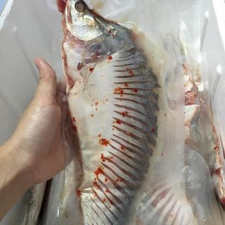 cá thác lác rút xương