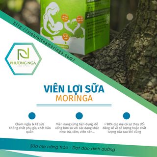 VIÊN LỢI SỮA MORINGA - Đặc Trị Ít Sữa, Mất Sữa - Tặng kèm Ngũ cốc 20 loại hạt 200gr