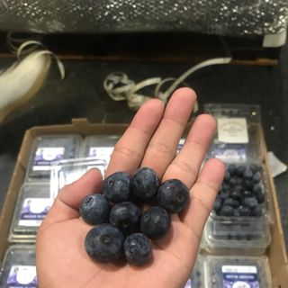 Việt quất tươi MỸ