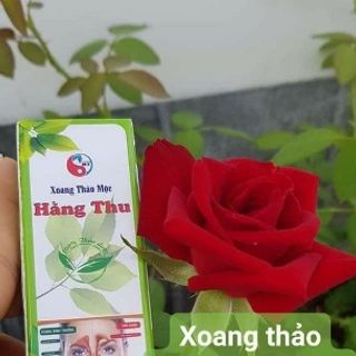 Xoang thảo mộc