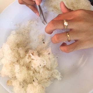 Yến sào nguyên chất