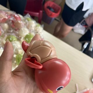 Rùa bơi trong nước làm quà tặng cho bé nhân dịp 1-6