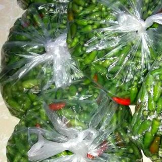 Ớt Gió Tây Bắc