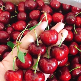 Cherry e có phân hộp nhỏ cho khách ngán tiên mua it nha. giá sỉ