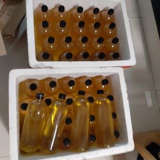 Dầu lạc/ dầu đậu phộng nguyên chất