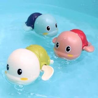 RÙA MINI CHẠY CÓT