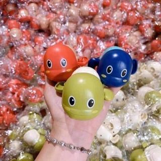 RÙA MINI CHẠY CÓT