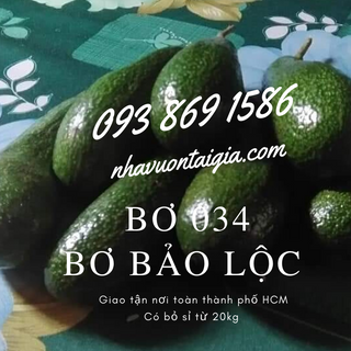 Bơ 034 sỉ 4 trái/kg Bơ Lâm Đồng Nhà Vườn Tại Gia