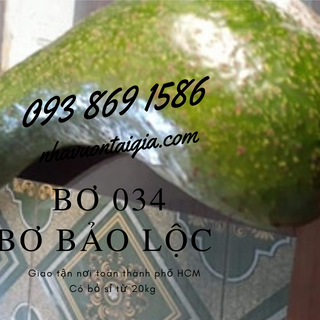 Bơ 034 sỉ 4 trái/kg Bơ Lâm Đồng Nhà Vườn Tại Gia