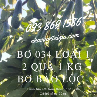 Bơ 034 sỉ 4 trái/kg Bơ Lâm Đồng Nhà Vườn Tại Gia