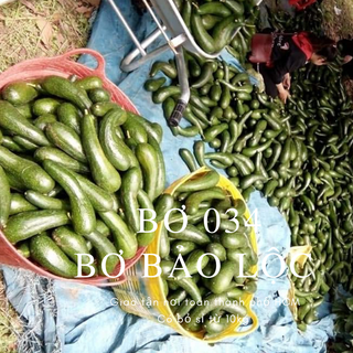Bơ 034 sỉ Nhà Vườn Tại Gia