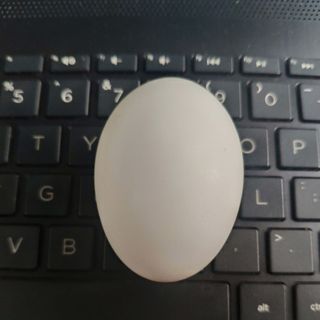 Trứng vịt chạy đồng lốc 10 trứng
