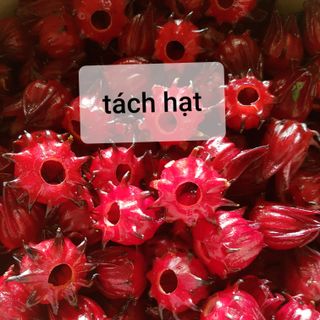 Hoa Tươi Atiso Đỏ