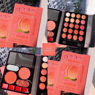 Phấn mắt bop anylady