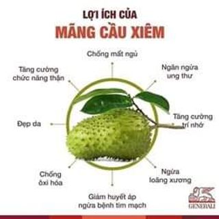 “ TRÀ MÃNG CẦU XIÊM” Thần dược chữa bệnh mất ngủ