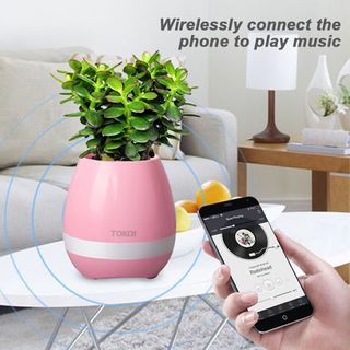 LOA BLUETOOTH KIÊM CHẬU HOA TRỒNG CÂY-fghrfhgrt giá sỉ