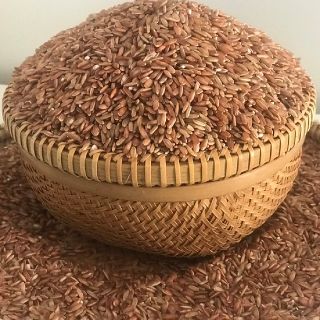 Gạo Đỏ Hữu Cơ Tuy An - Gạo Hữu Cơ 6 Tháng