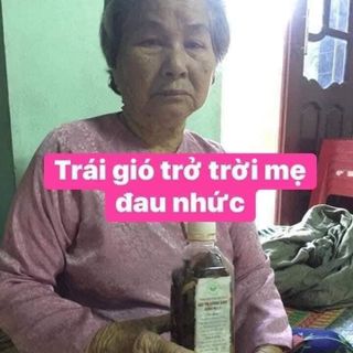 Đau nhức xương khớp, thoát vị đĩa đệm, đau vai gáy... từ thảo mộc thiên nhiên