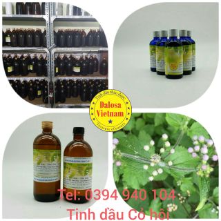 TINH DẦU CÂY CỎ HÔI - CÂY CỨT LỢN GIÁ SỈ 1000ML