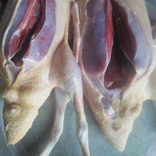vịt tươi sống làm sạch