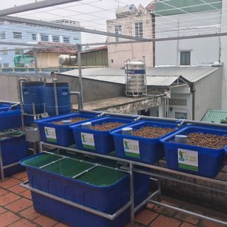 Thùng nhựa nuôi cá 1000 lít 2 lớp Lhe Ngọc