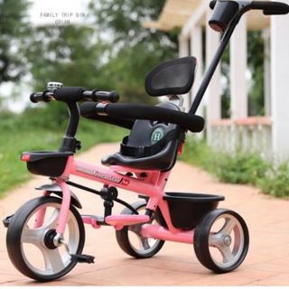 Xe 3 bánh có cần đẩy S180-3