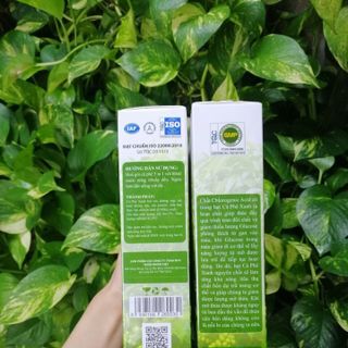 Cà phê xanh mẫu mới