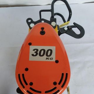 Tời điện 300kg