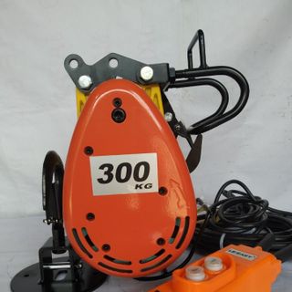 Tời điện 300kg