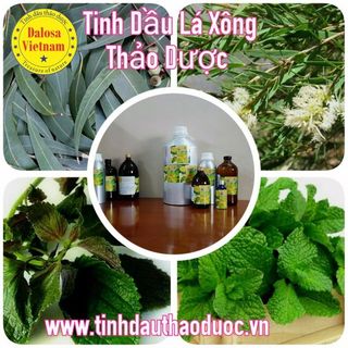 TINH DẦU LÁ XÔNG THẢO DƯỢC 1000ML
