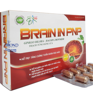 Viên Uống Tuần Hoàn Não BRAIN IN PNP